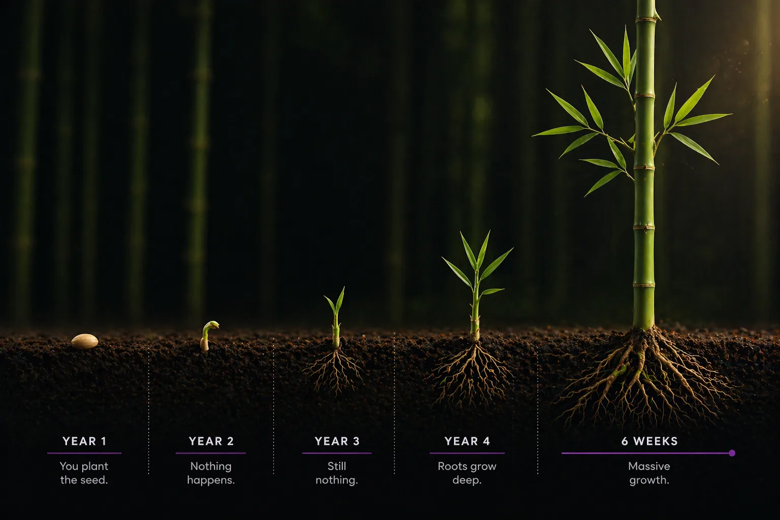 The Chinese Bamboo Tree and What It Taught Me About Podcasting